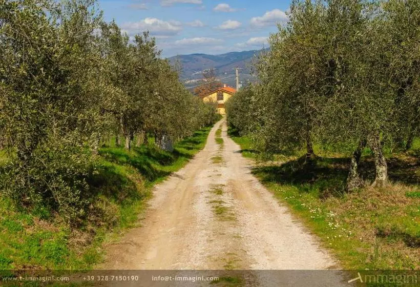 ホテル Bioagriturismo Poderaccio