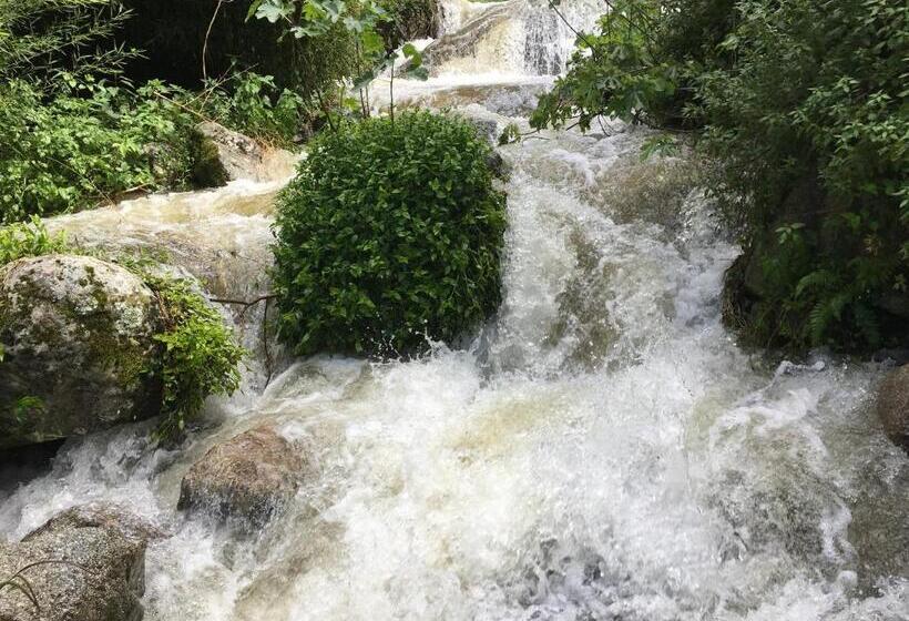 بنسيون Chambres D Hôtes   Mulino Nannaré