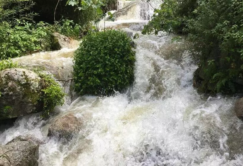 ペンション Chambres D Hôtes   Mulino Nannaré