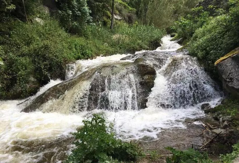 ペンション Chambres D Hôtes   Mulino Nannaré