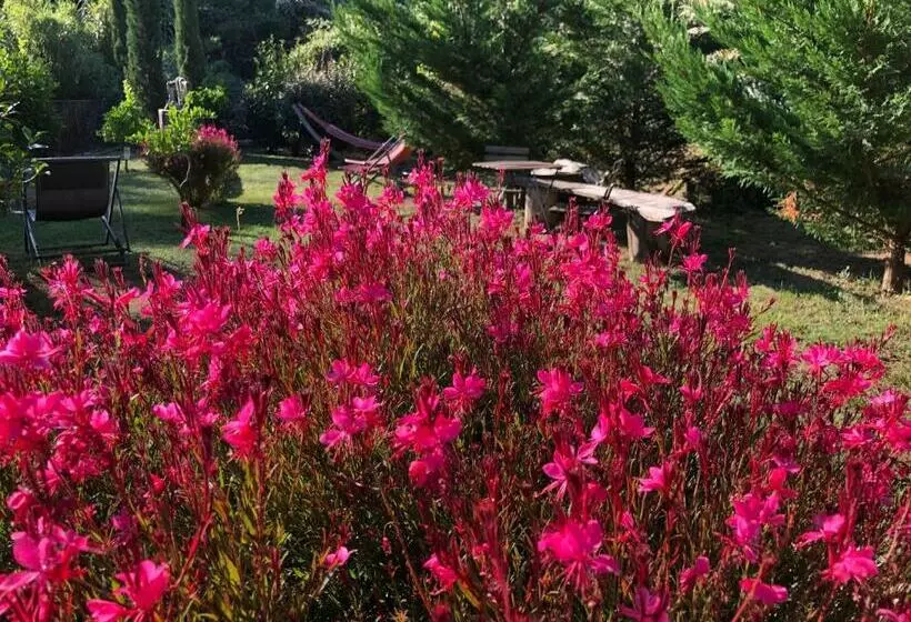 ペンション Chambres D Hôtes   Mulino Nannaré