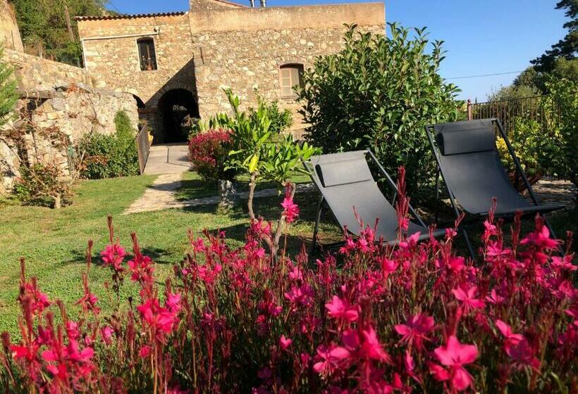 بنسيون Chambres D Hôtes   Mulino Nannaré