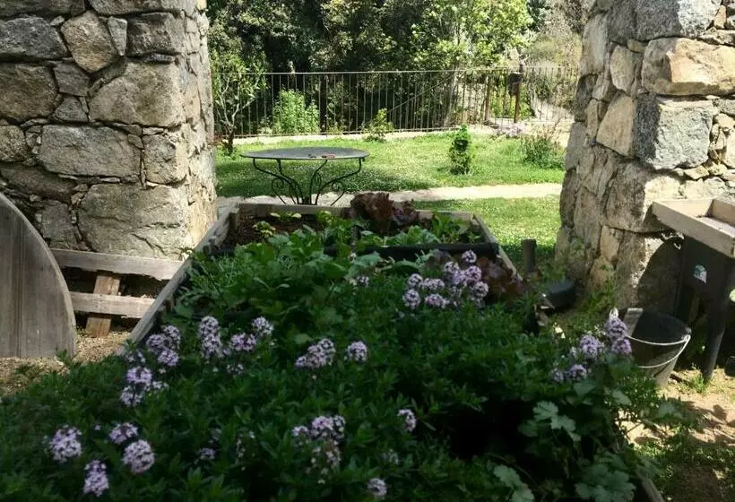 ペンション Chambres D Hôtes   Mulino Nannaré