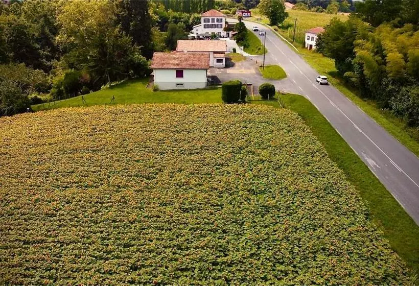 ペンション Chambres D Hôtes   Domaine Beau Sejour
