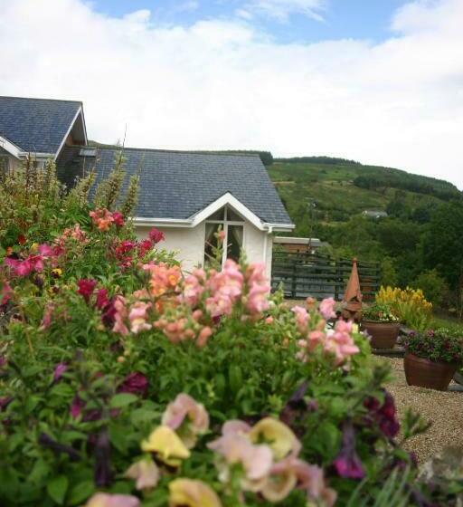 住宿加早餐 Wicklow Way Lodge