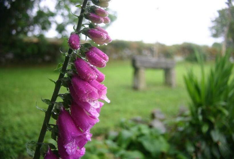 住宿加早餐 Wicklow Way Lodge