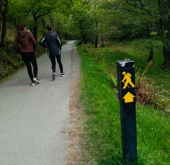 住宿加早餐 Wicklow Way Lodge