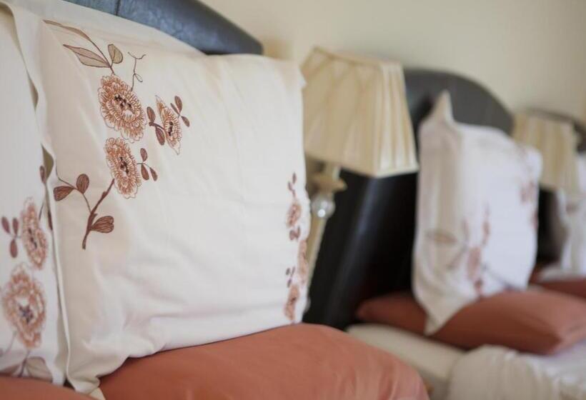 住宿加早餐 Wicklow Way Lodge