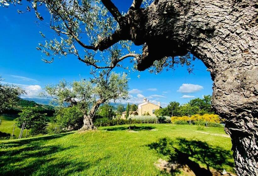 酒店 Agriturismo Borgo Del Ginepro