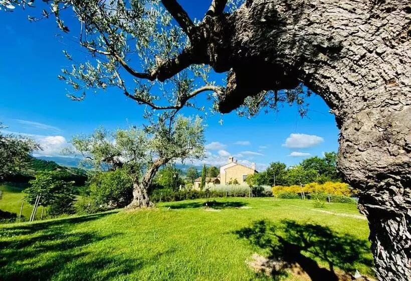 ホテル Agriturismo Borgo Del Ginepro