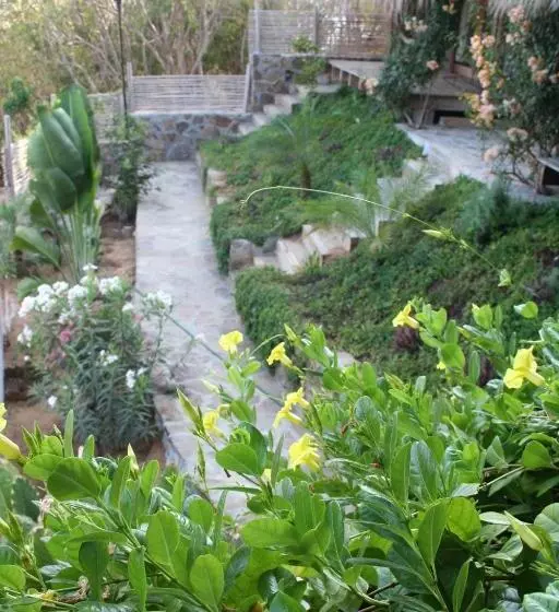 ホテル Sal De Mar