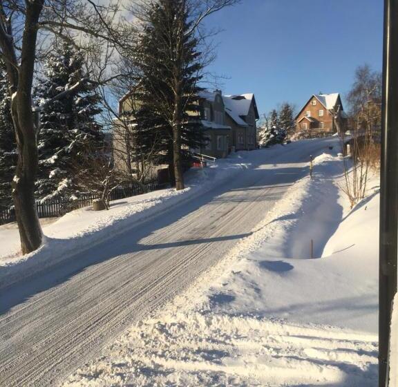 ペンション Apartments Villa Viola