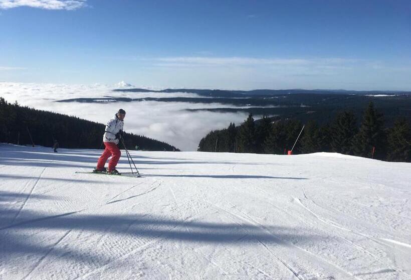 ペンション Apartments Villa Viola