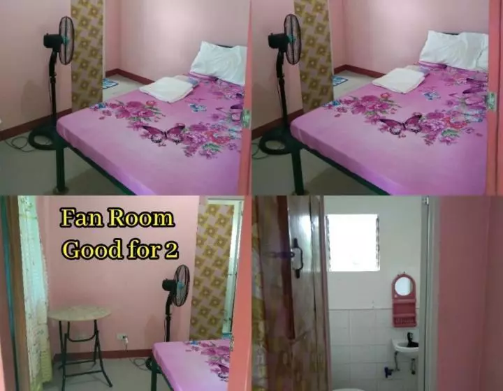 Rms Travellers Inn   Hostel