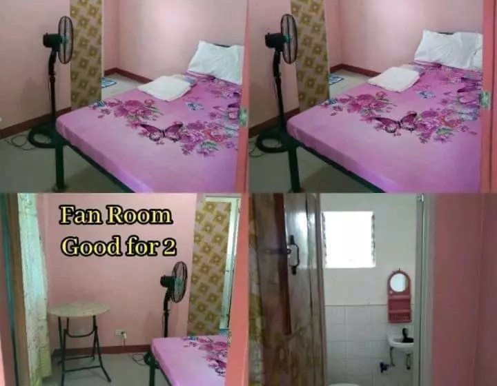 Rms Travellers Inn   Hostel
