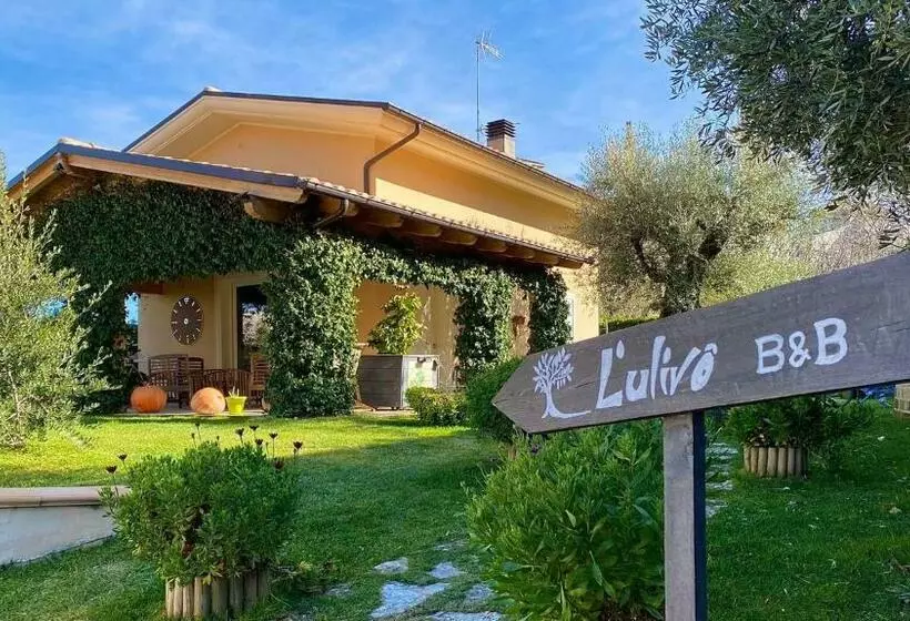 L  Ulivo Bed & Breakfast