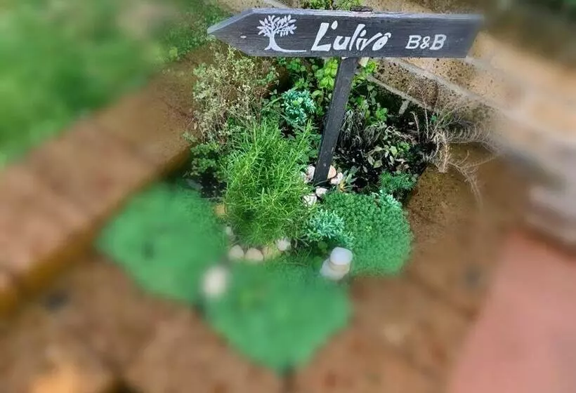 L  Ulivo Bed & Breakfast
