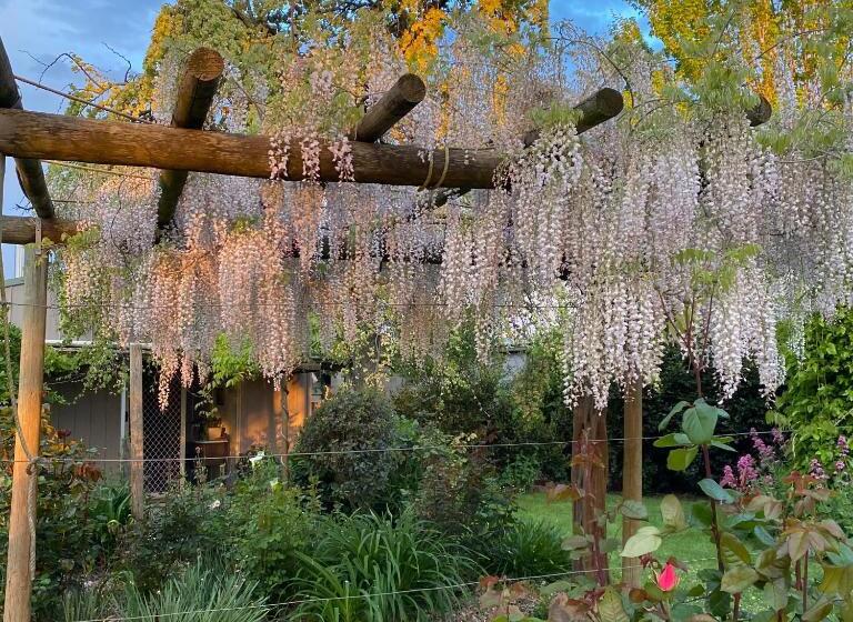 住宿加早餐  Holly House Garden Studio