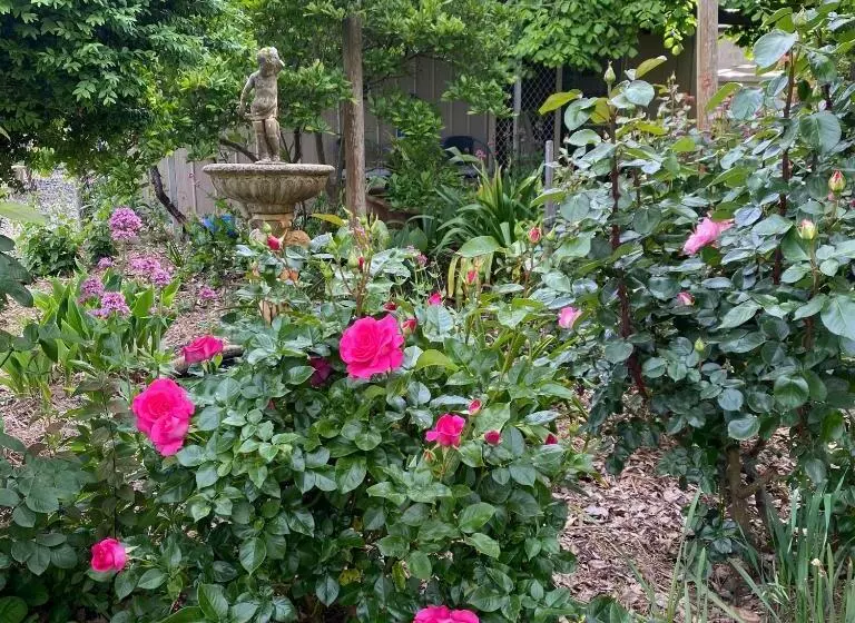 ベッドアンドブレックファースト Holly House Garden Studio
