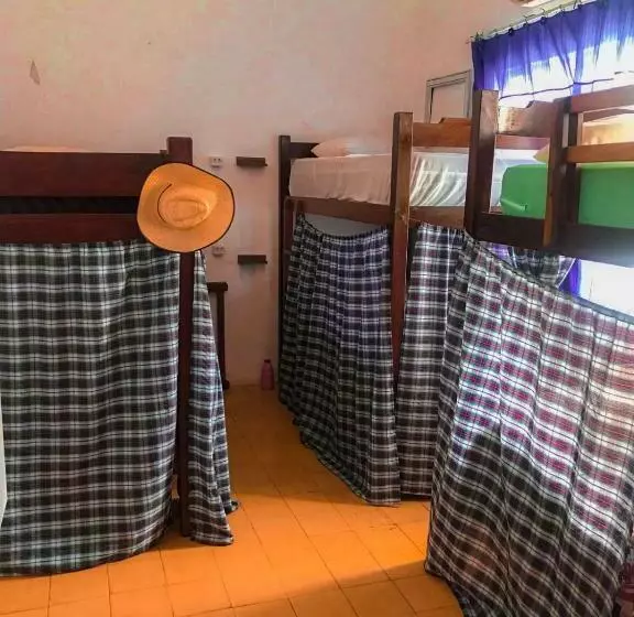 ベッドアンドブレックファースト Hostel E Camping Da Cris