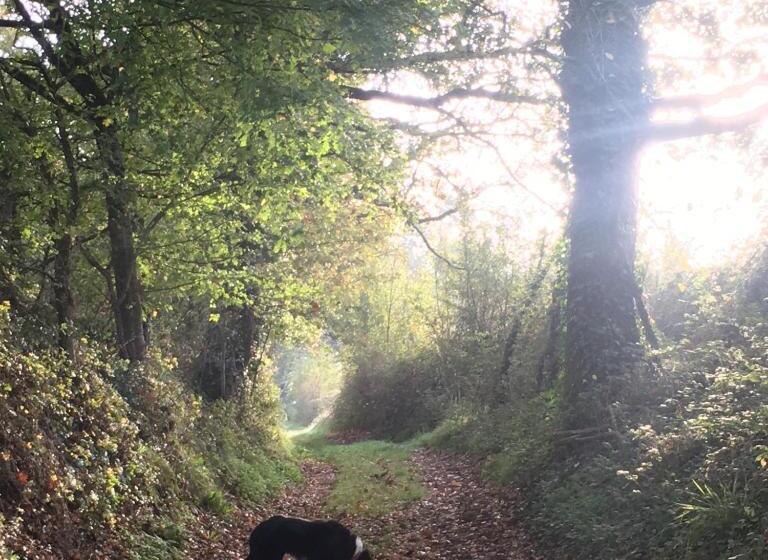 مبيت وإفطار La Ferme Buissonnière