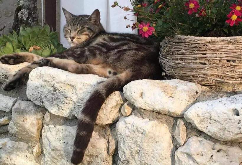 Aamiaismajoitus (B&B) La Ferme Buissonnière