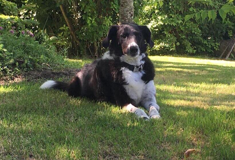 مبيت وإفطار La Ferme Buissonnière