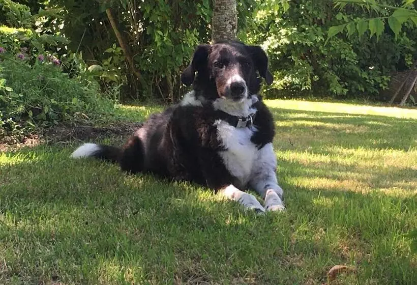Aamiaismajoitus (B&B) La Ferme Buissonnière