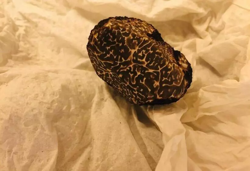 Aamiaismajoitus (B&B) La Ferme Buissonnière