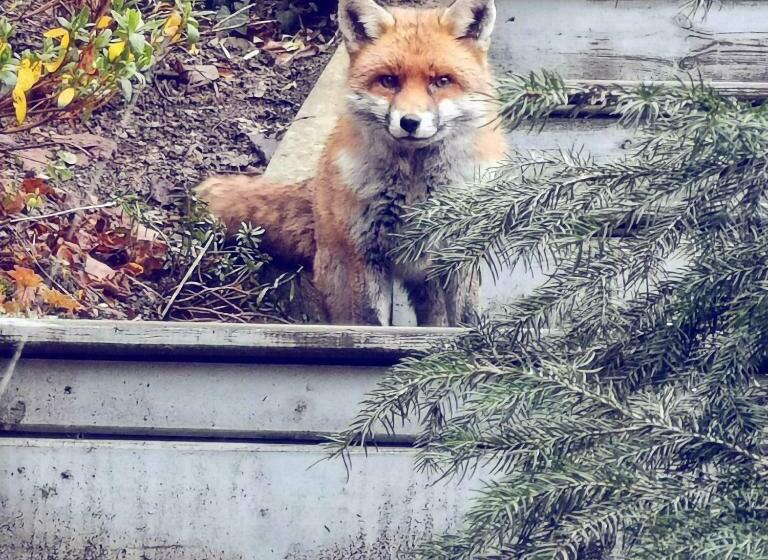 ベッドアンドブレックファースト W Allons Nous Dormir