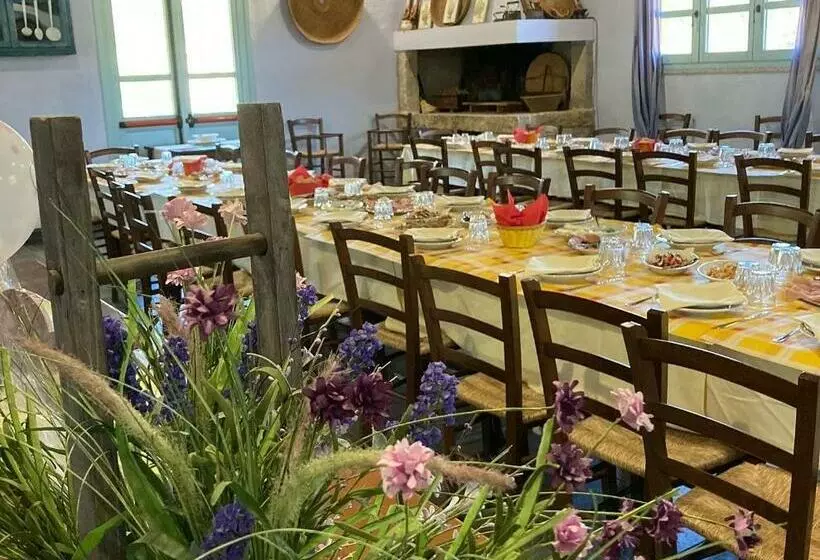 ホテル Agriturismo Is Conchisceddas