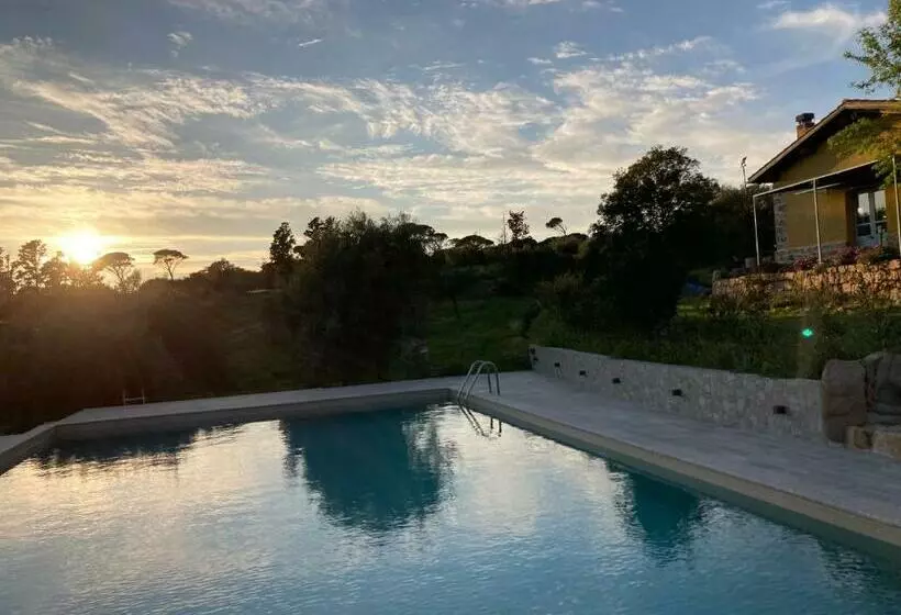 ホテル Agriturismo Is Conchisceddas