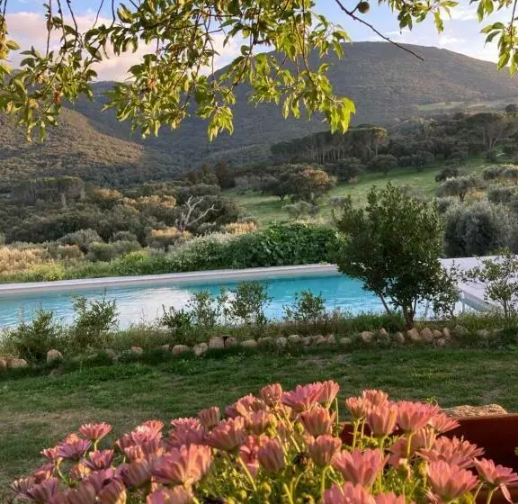 ホテル Agriturismo Is Conchisceddas