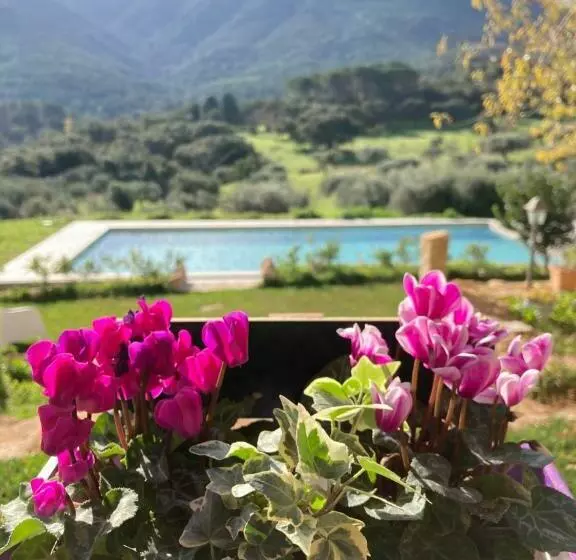 ホテル Agriturismo Is Conchisceddas
