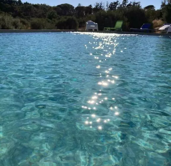 ホテル Agriturismo Is Conchisceddas