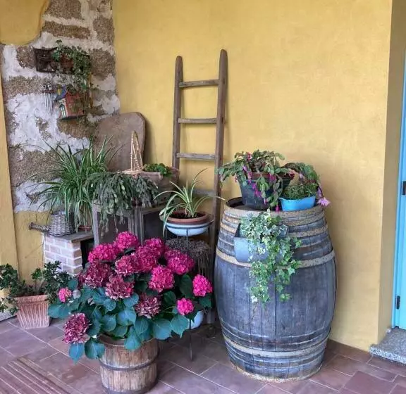 ホテル Agriturismo Is Conchisceddas