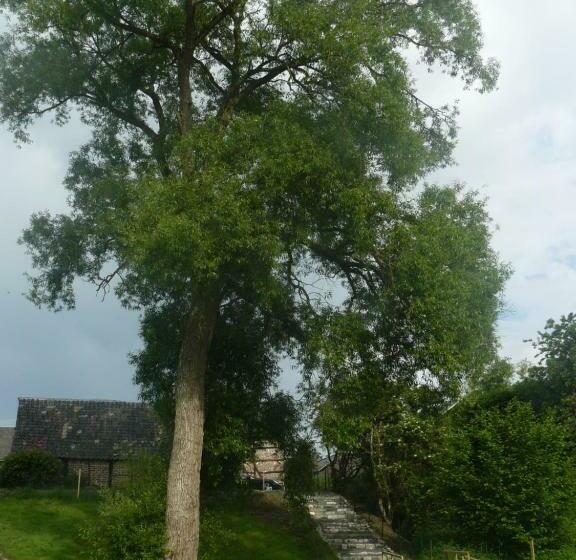 تختخواب و صبحانه La Fleur Et Le Soleil