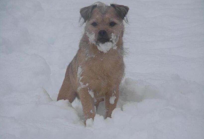 تختخواب و صبحانه La Fleur Et Le Soleil