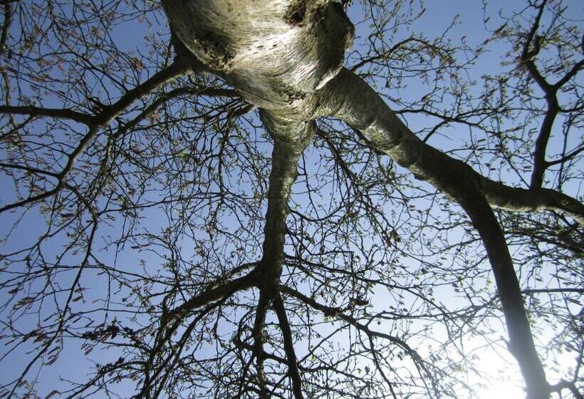 تختخواب و صبحانه La Fleur Et Le Soleil