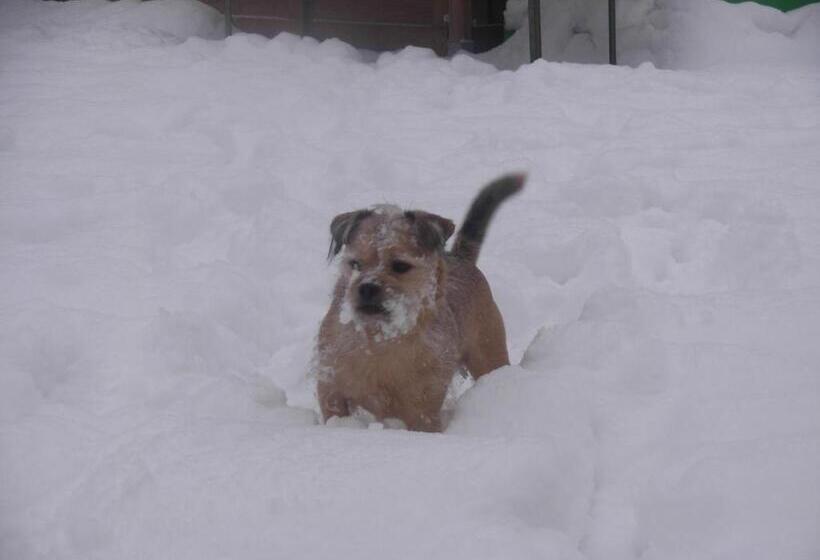 تختخواب و صبحانه La Fleur Et Le Soleil