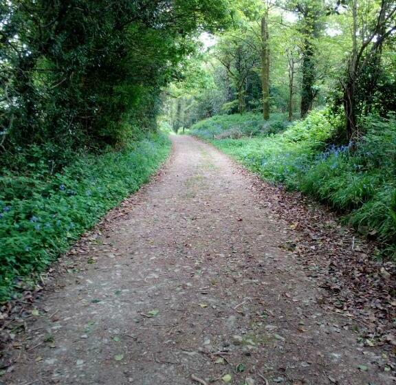 Bed and Breakfast The Dales
