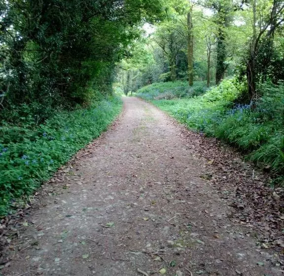 ベッドアンドブレックファースト The Dales