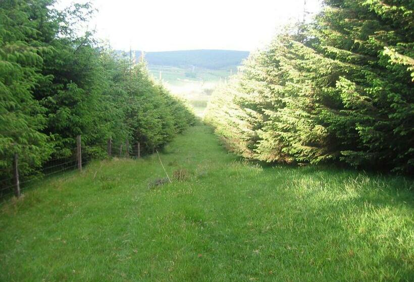 Bed and Breakfast The Dales