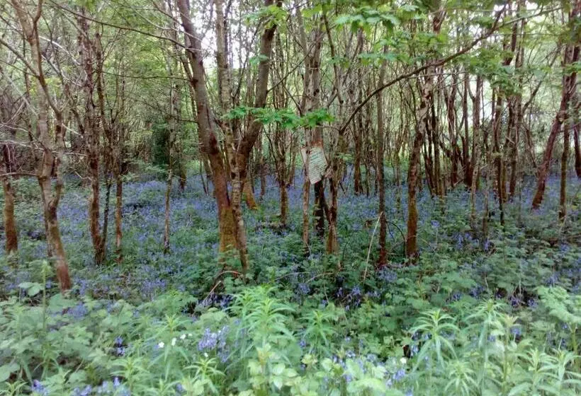 ベッドアンドブレックファースト The Dales