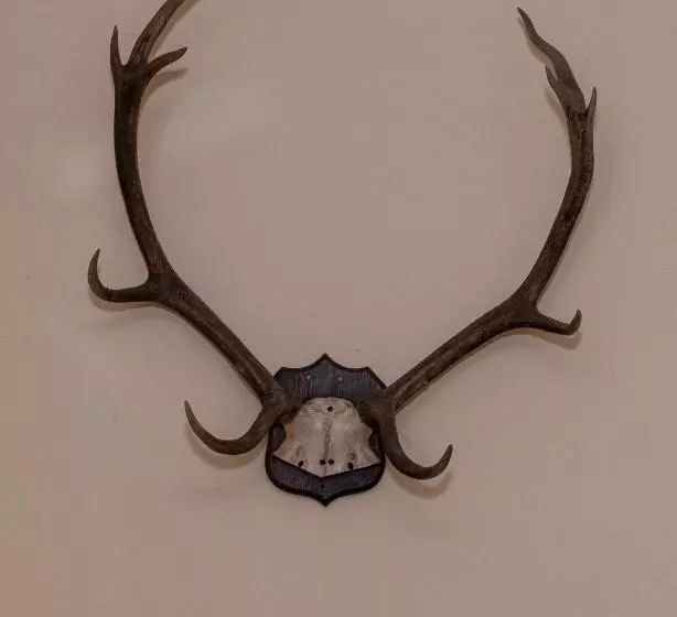 ベッドアンドブレックファースト The Dales