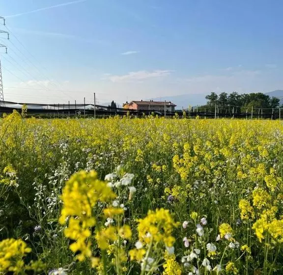 Hotelli Agriturismo Fior Di Maggio