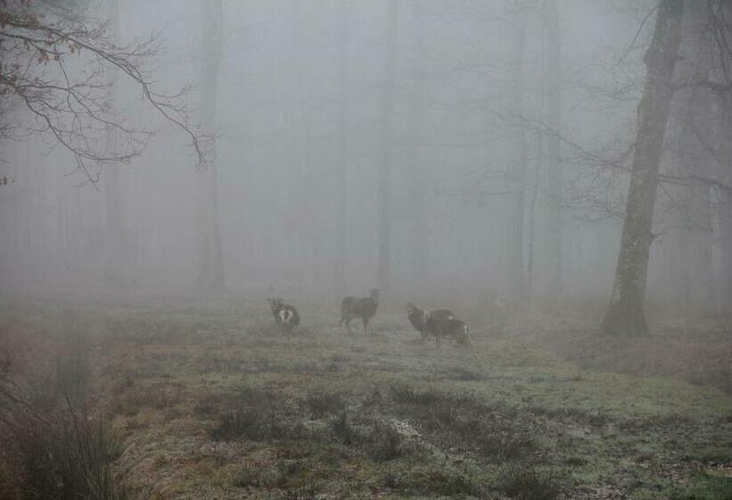 Majatalo Au Cocon De Sologne