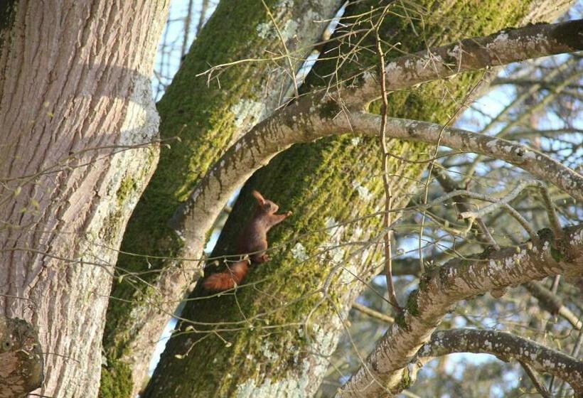 Majatalo Au Cocon De Sologne