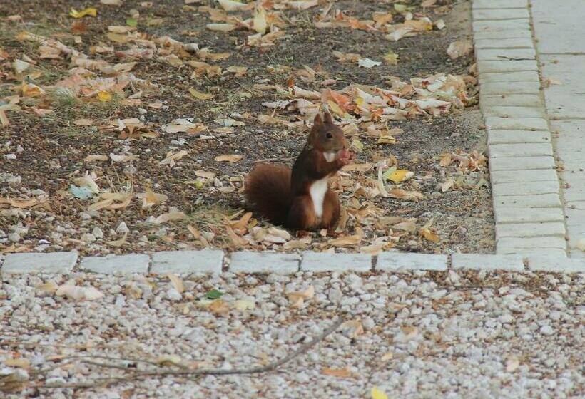 Majatalo Au Cocon De Sologne