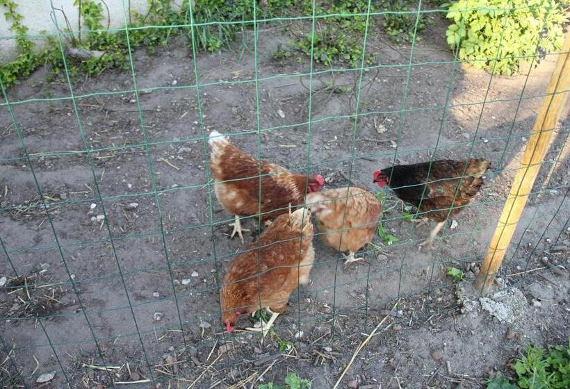 Majatalo Au Cocon De Sologne